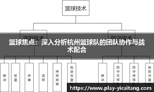 篮球焦点：深入分析杭州篮球队的团队协作与战术配合